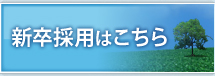 新卒採用はこちら